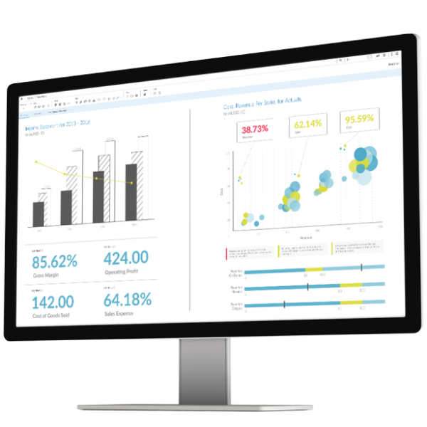 SAP Cloud Analytics Dashboard