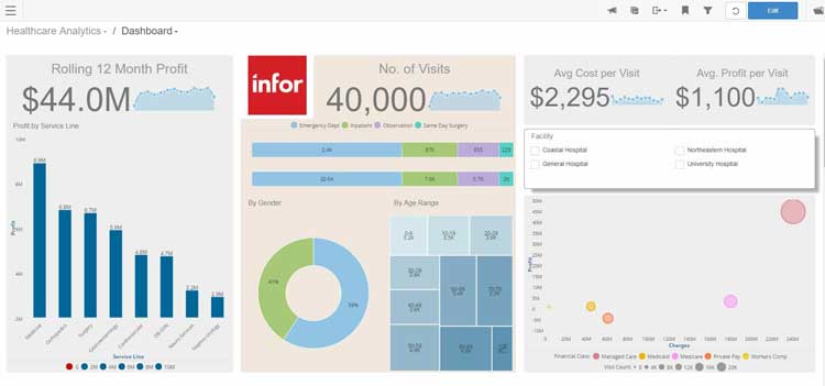 Healthcare Analytics Dashboard in Infor Birst