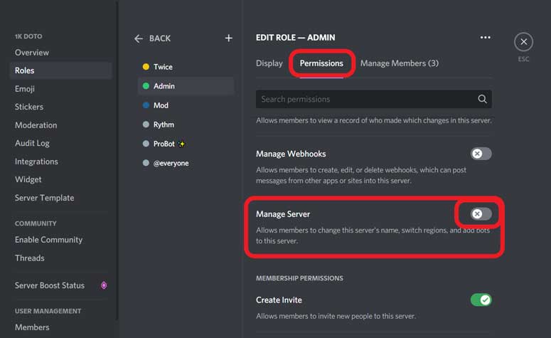 Manage Server permission for role