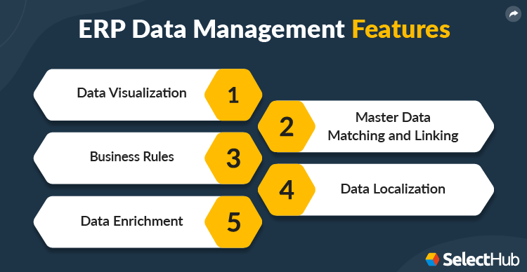 ERP Data Management Features