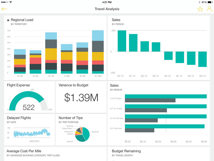 PowerBI Travel Analysis Dashboard iPad