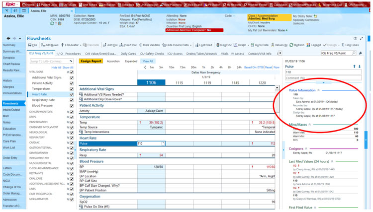 Managing Crucial Patient and Medical Information with EpicCare Flowsheets