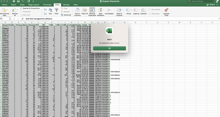 Duplicate Data Verification Message Box