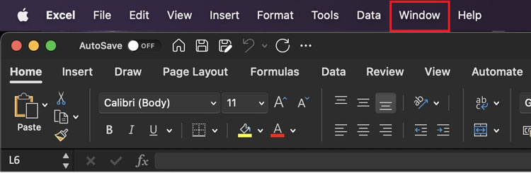 Excel Window Tab