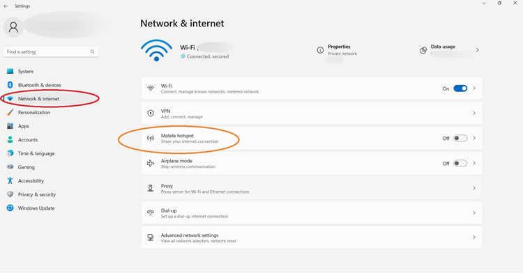 Windows Network and Internet Settings