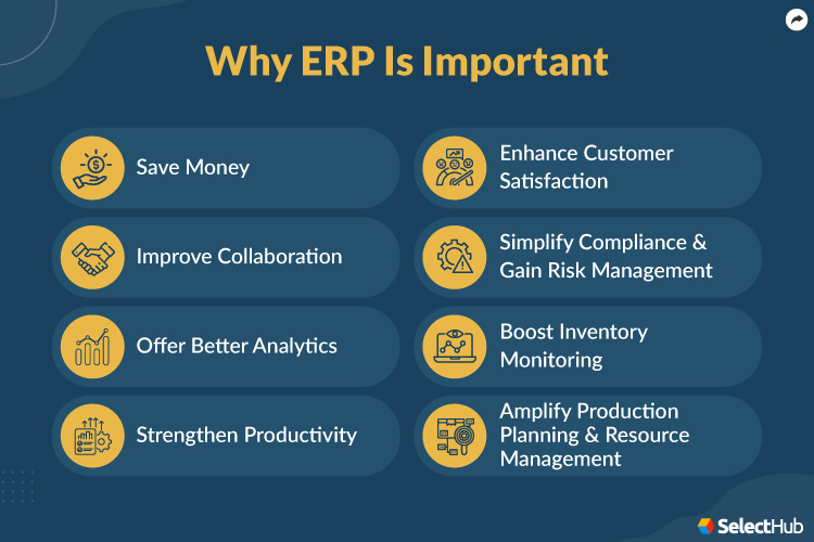 Reasons Why ERP Is Important