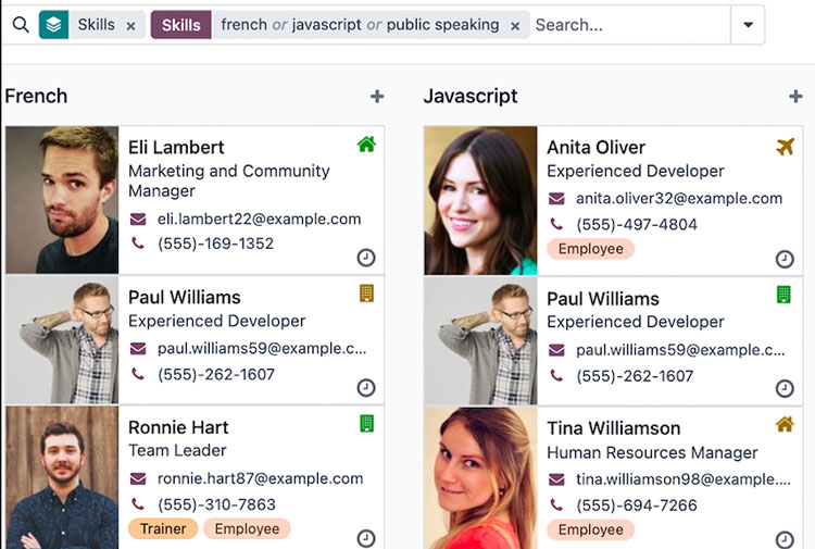 Odoo HR Employee Skills Preview
