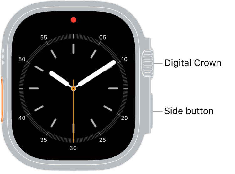 Apple Watch Dial with Digital Crown and Side Button Labelled