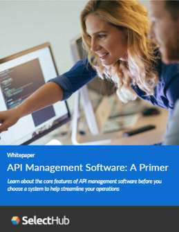 API Management Software: A Primer