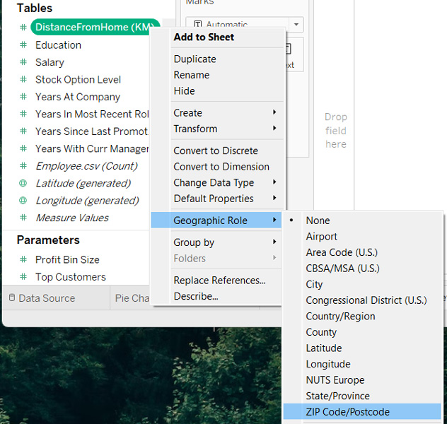 Tableau interface setting a geographic role for data fields