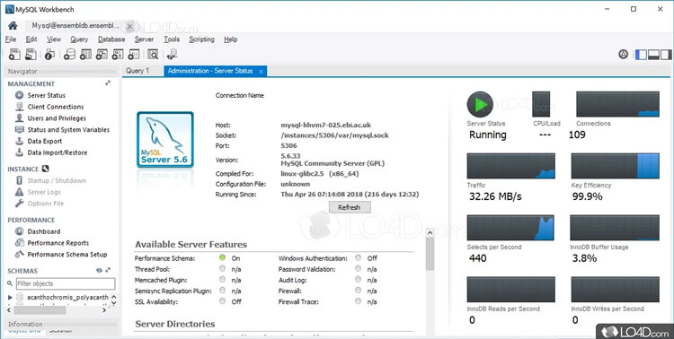 MySql Workbench