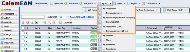 Workorder and Assignments Filters in Calem EAM