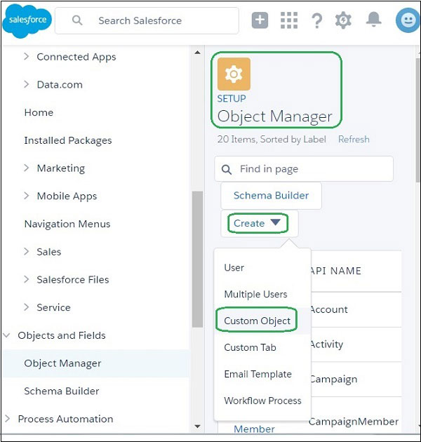 Salesforce Custom Objects