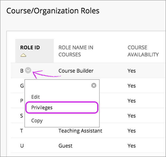 Blackboard Course and Organization Roles Management