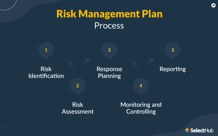 Risk Management Plan Process