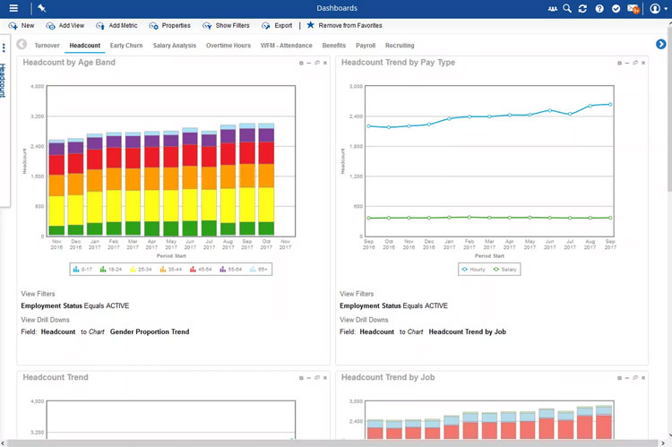 Dayforce Data Analytics and Visualization