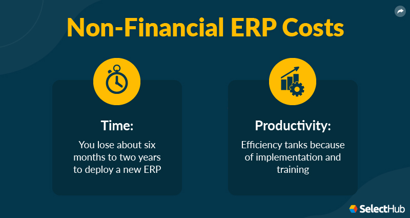 Non-Financial ERP Costs