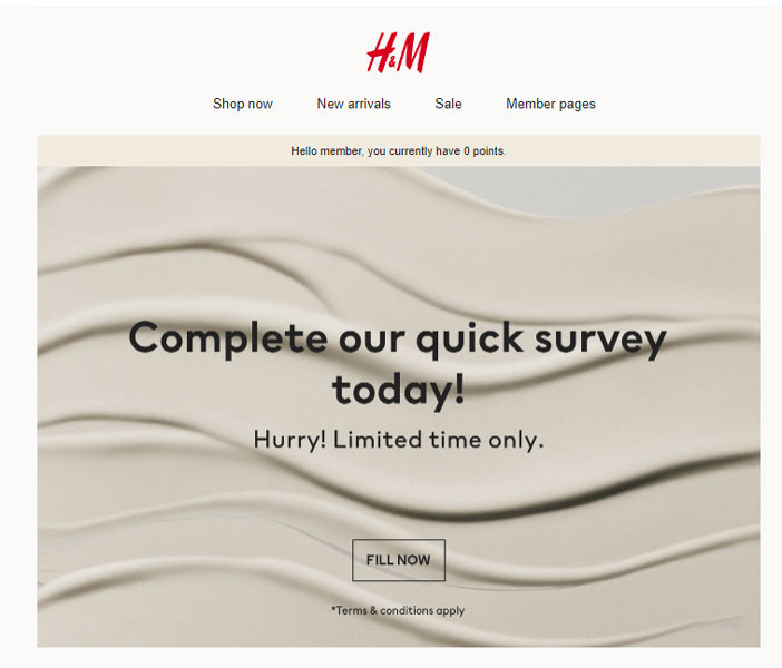 H&M Survey